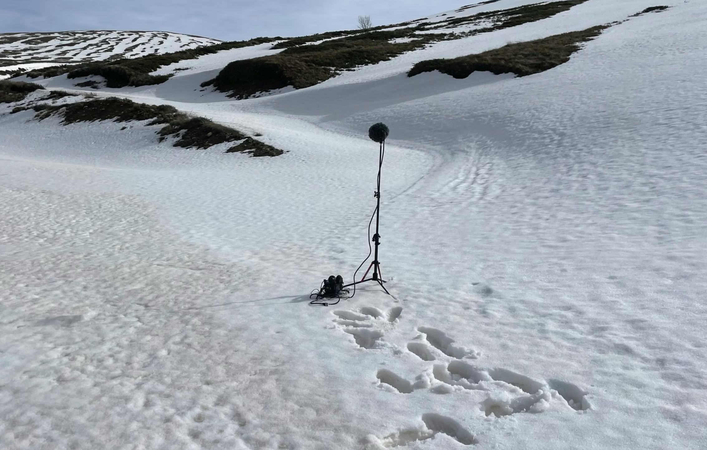 Listening as Witnessing